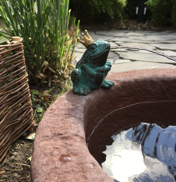 Trogbrunnen Froschkönig BR0032