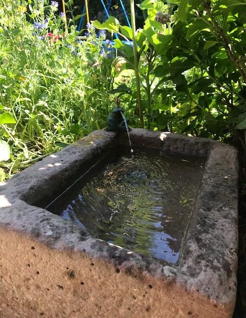 Natursteinbrunnentrog mit Froschkönig