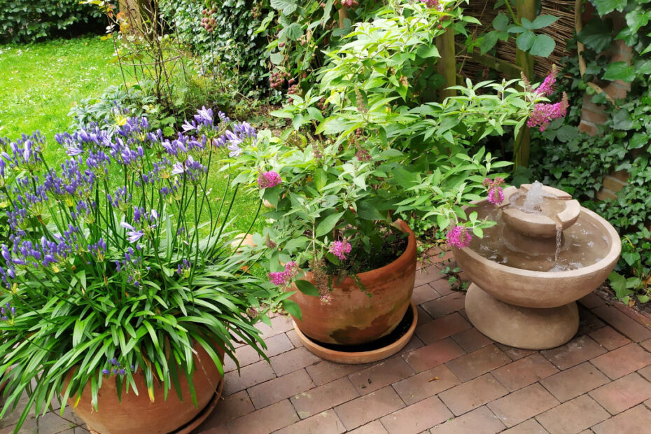 Henri-Studio-Brunnen Rubus